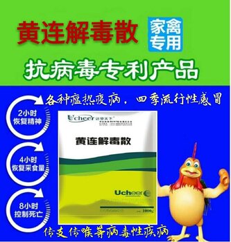 冬天鸡感冒怎么治疗,久治不愈怎么办?鸡感冒用